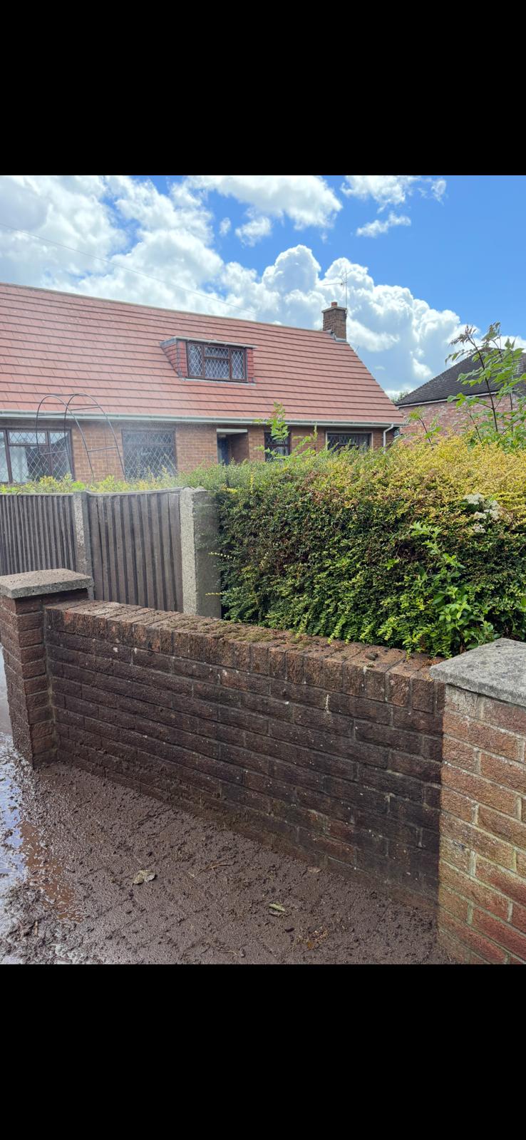 Brick wall and pavement before cleaning - dark moss covering brickwork
