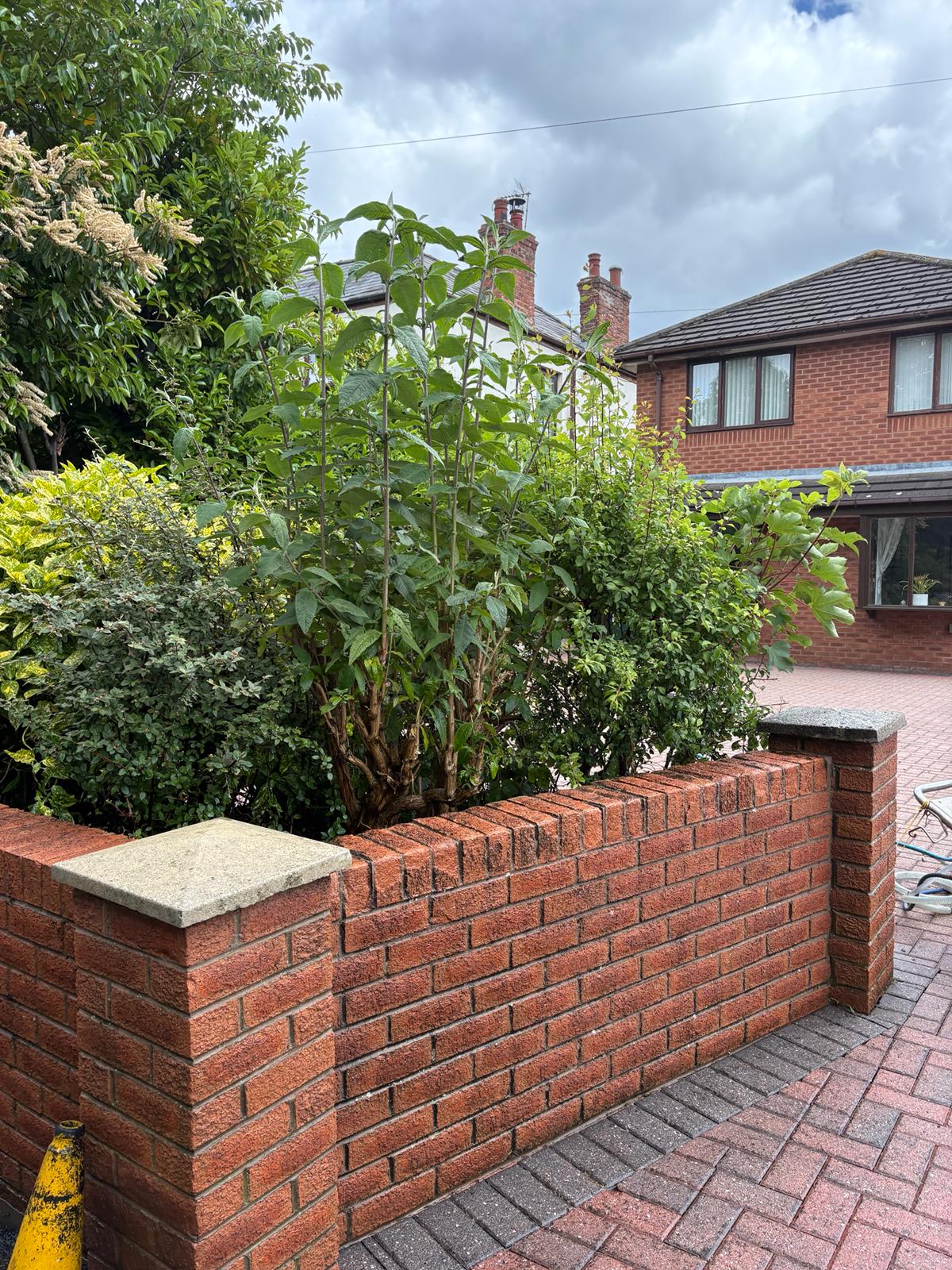Garden brick wall after pressure washing - clean red brickwork and tidy frontage